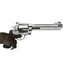 diloshoot