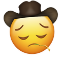 sadyeehaw Discord emoji