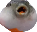 fishguah