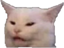 AngryTableCat