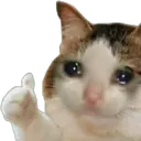 CatThumb