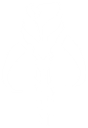mandalorian Discord emoji