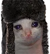 eft_catshanka eft_catshanka