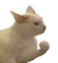 fightMe