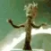 GROOTdance GROOTdance