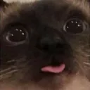 xcat_tongue