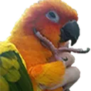 thinkb