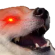 Dogkek