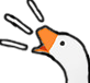 honk