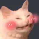 KITTYBLUSH