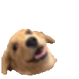 WoweeHOP