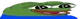 peepohappywide