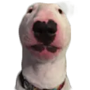 Nelson