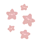pinkstars pinkstars