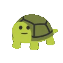 turtlehappy turtlehappy