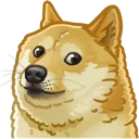 Doge1 Doge1 Discord Emoji