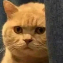 :andioop: Discord Emote