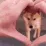 DogeHeart