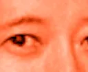 araki2
