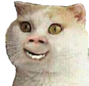 :cursedcat2: Discord Emote