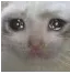 tears