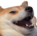 kek Discord emoji