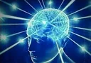 bigbrain