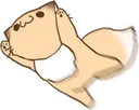 wawaZoom
