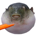 aeughfish Discord emoji
