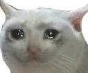 sadcat