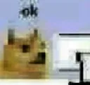 okdog