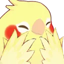 birdflustered2