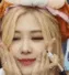 aRoseCute aRoseCute