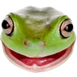 OSFrog