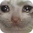 sosad sosad
