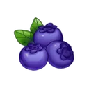Blueberries blueberries Discord Emoji