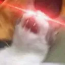 Hypercat