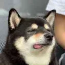 TIREDBLEP TIREDBLEP