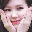 RoseCute