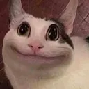 CattoSmile