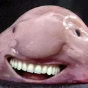 blobfish