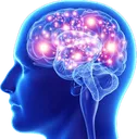 BigBrain