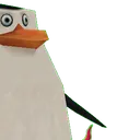 skipper2