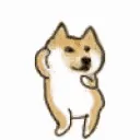 doge_dance