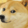 Doge doge Discord Emoji
