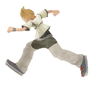 roxasrun