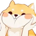 AA_Squishshibainu