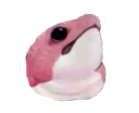 :Snek: Discord Emote