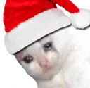 sadkittyxmas