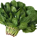 spinach